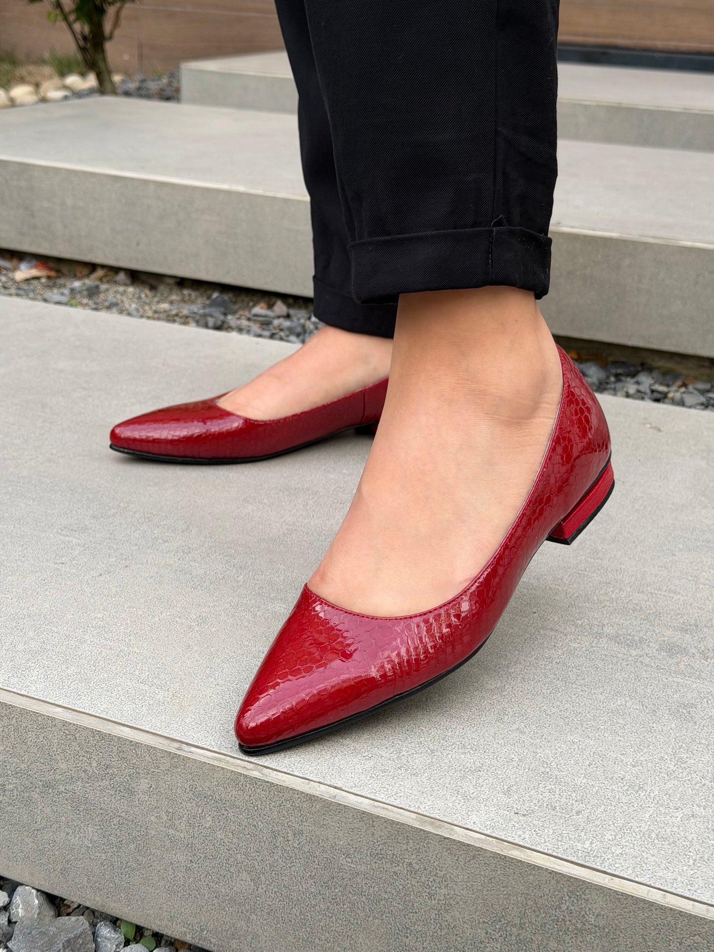 Baletas clásicas cerradas