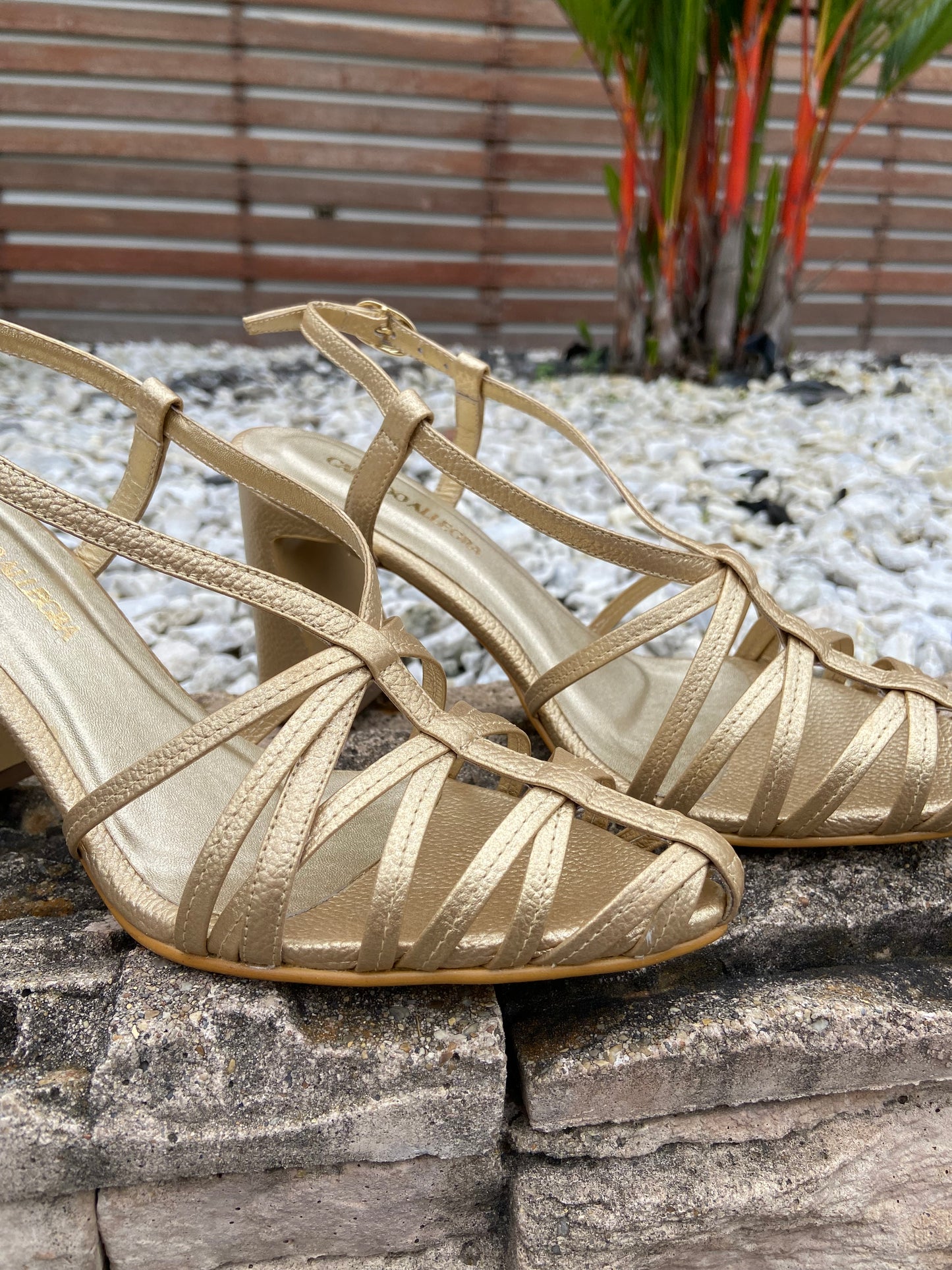 Stilettos Canasta Dorado