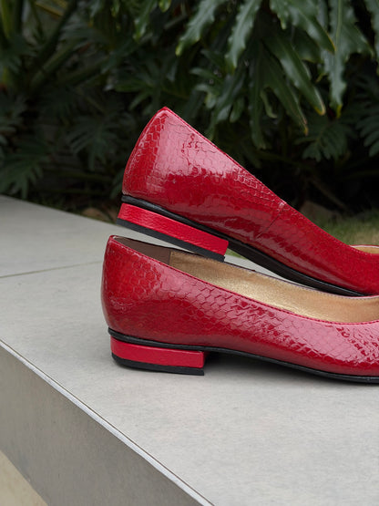 Baletas clásicas cerradas